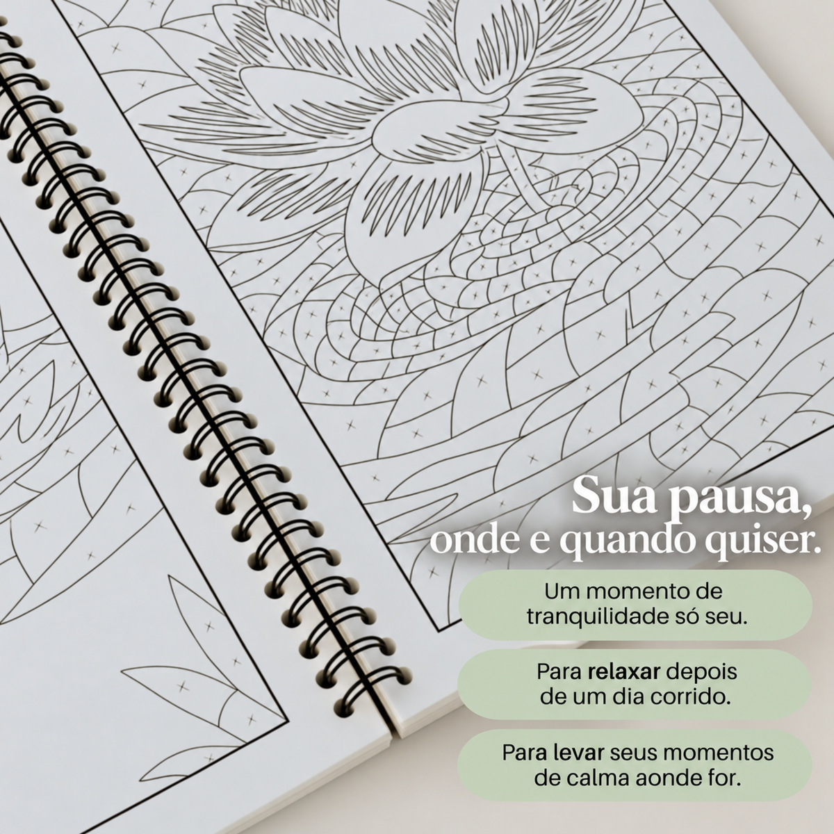 Edição Clássica – Uma nova forma de colorir. Uma só cor. Menos escolhas. Mais calma.